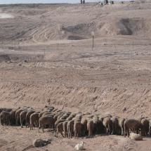 GOLF COURSE CONSTRUCTION