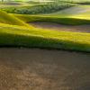 Casa Green Golf Club 